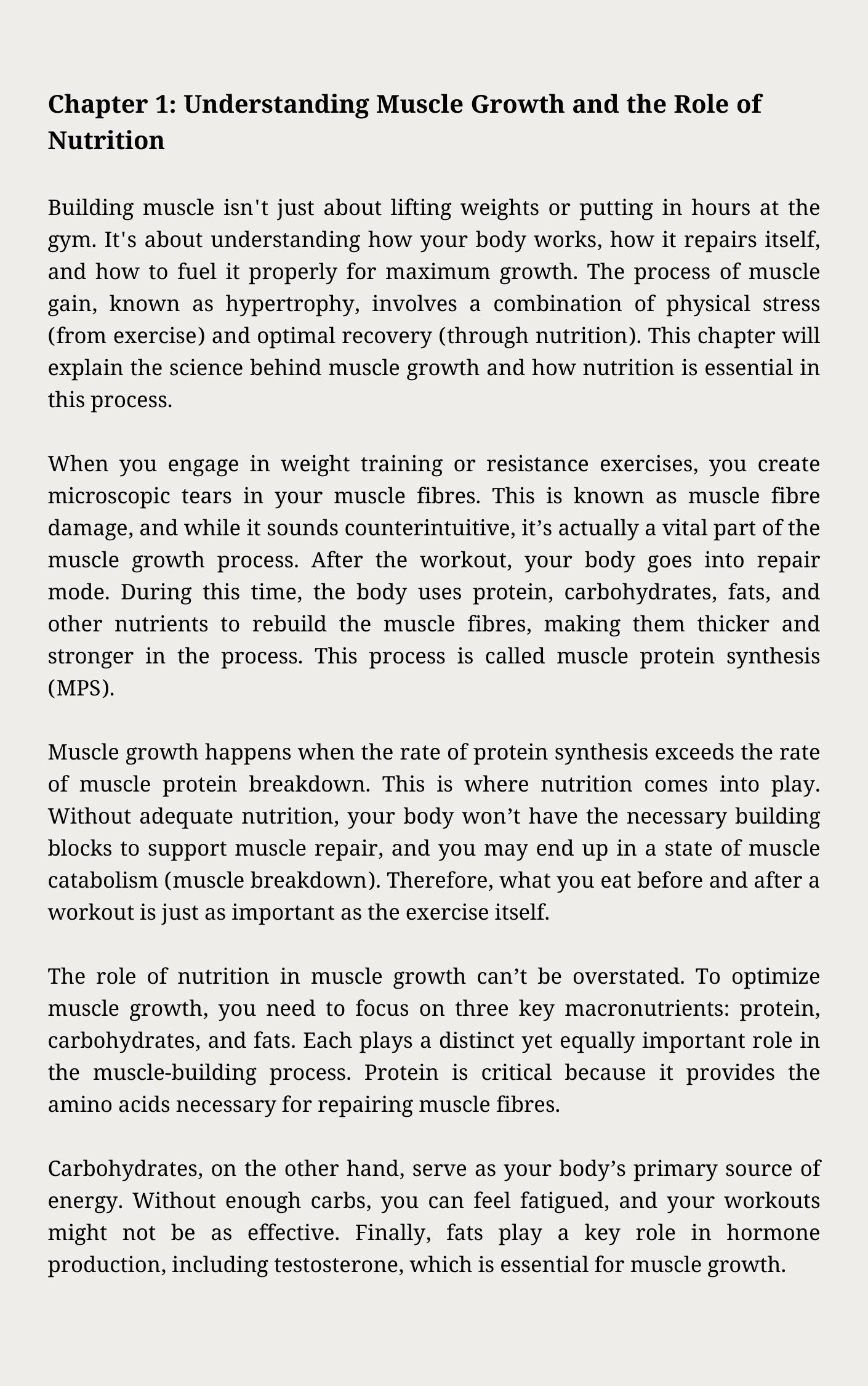 The Secrets to Muscle Growth Lies in These Powerful Foods